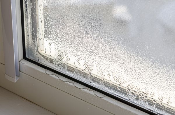 Leaky Window Repair in Walnut Creek